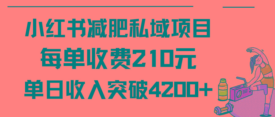 (9466期)小红书减肥私域项目每单收费210元单日成交20单，最高日入4200+-轻创网