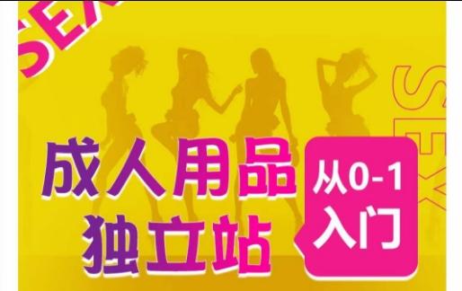 成人用品独立站从0-1入门，成品独立站运营全流程教学，七大好卖成品独立站推荐-轻创网