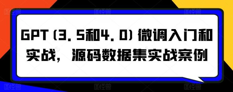 GPT(3.5和4.0)微调入门和实战，源码数据集实战案例-轻创网