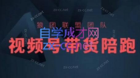 狼团联盟·2024视频号带货-轻创网