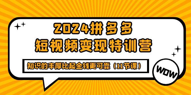 (9817期)2024拼多多短视频变现特训营，知识的丰厚比起金钱更可靠(11节课)-轻创网