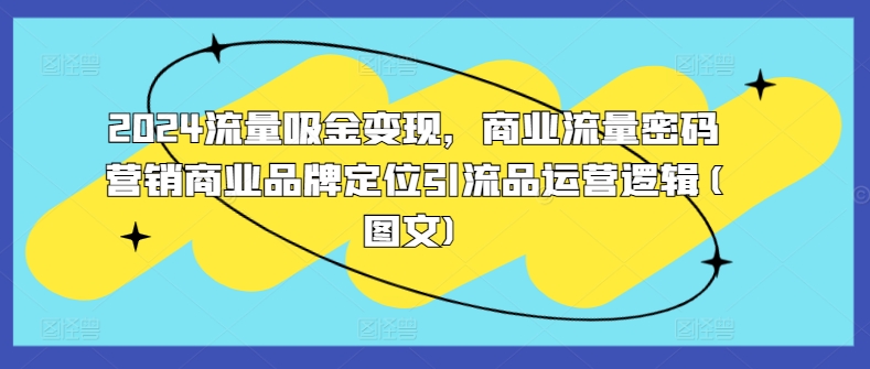 2024流量吸金变现，商业流量密码营销商业品牌定位引流品运营逻辑(图文)-轻创网