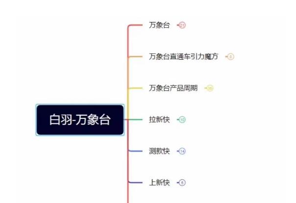 白羽·直引万搜索全篇，从0-1，多个类目实操经验总结付费-轻创网