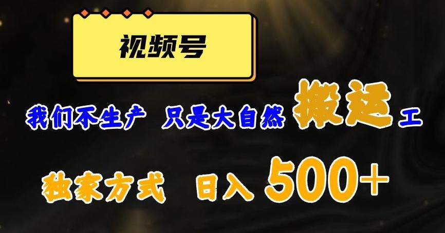 视频号轻松搬运日赚500+，一个1分钟1条原创视频【揭秘】-轻创网