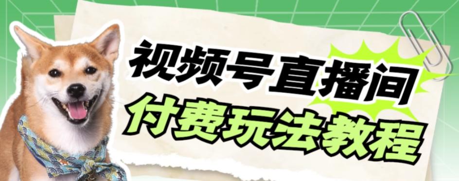 视频号美女付费无人直播，轻松日入500+【详细玩法教程】-轻创网