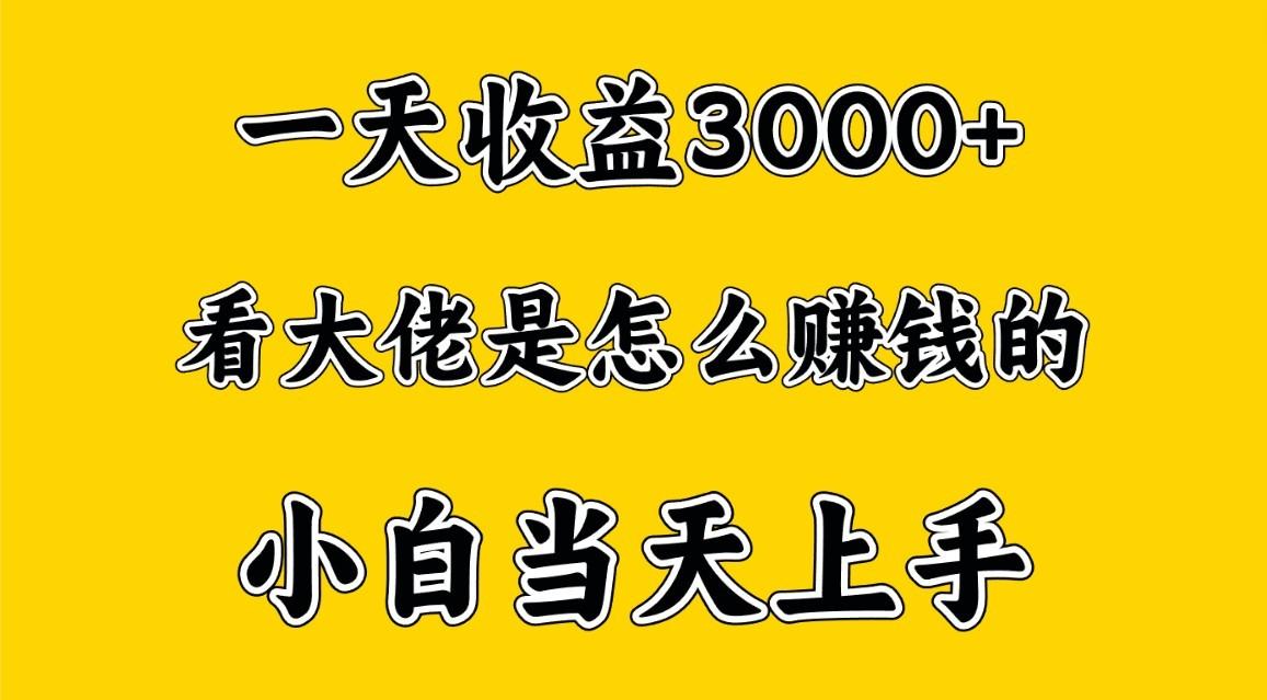 一天赚3000多，大佬是这样赚到钱的，小白当天上手，穷人翻身项目-轻创网
