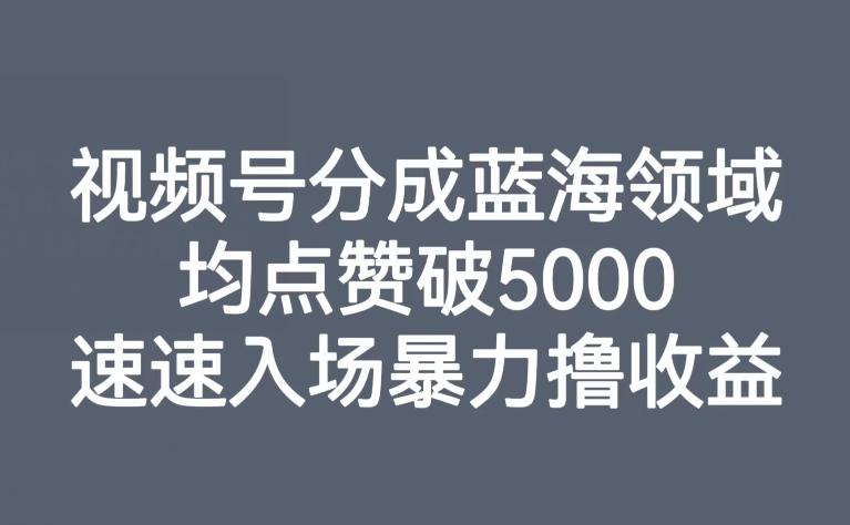 视频号分成蓝海领域，均点赞破5000，速速入场暴力撸收益-轻创网
