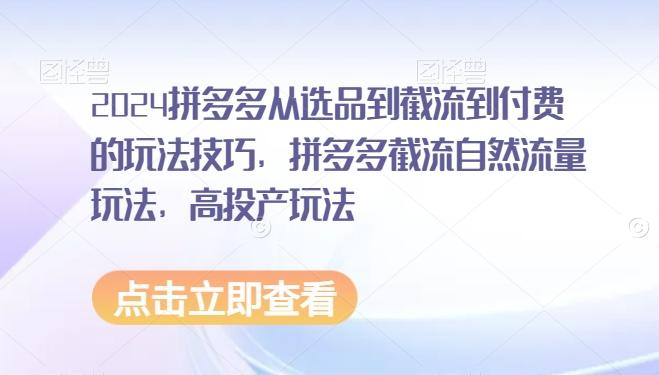 2024拼多多从选品到截流到付费的玩法技巧，拼多多截流自然流量玩法，高投产玩法-轻创网