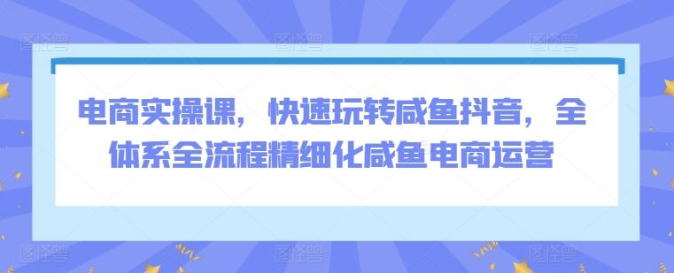 电商实操课，快速玩转咸鱼抖音，全体系全流程精细化咸鱼电商运营-轻创网