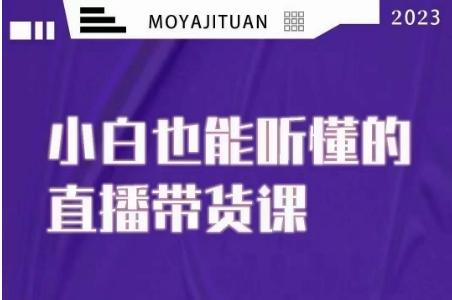 大威本威·能听懂的直播带货课，小白也能听懂，20节完整-轻创网