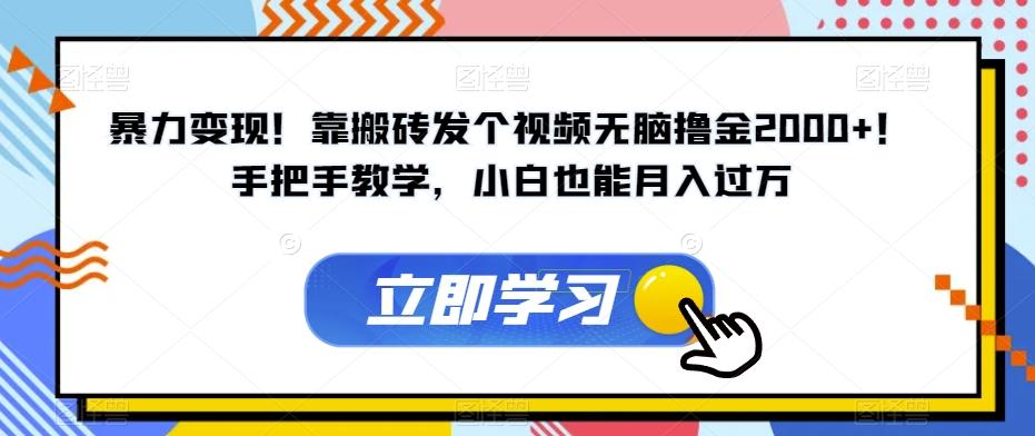暴力变现！靠搬砖发个视频无脑撸金2000+！手把手教学，小白也能月入过万【揭秘】-轻创网