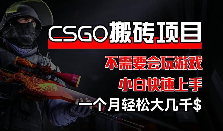 CSGO 装备搬砖项目，操作简单，不需要会玩游戏，小白也能快速上手，一个月轻松大几千【揭秘】-轻创网