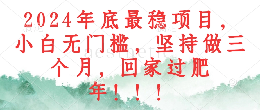 2024年底最稳项目，小白无门槛，坚持做三个月，回家过肥年！！！-轻创网