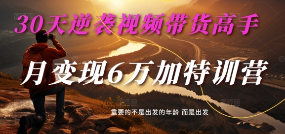 30天逆袭视频带货高手，单月变现6万加特训营-麦子甜-轻创网