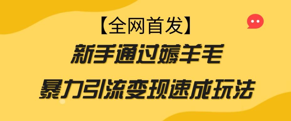 【全网首发】新手通过薅羊毛暴力引流变现速成玩法-轻创网