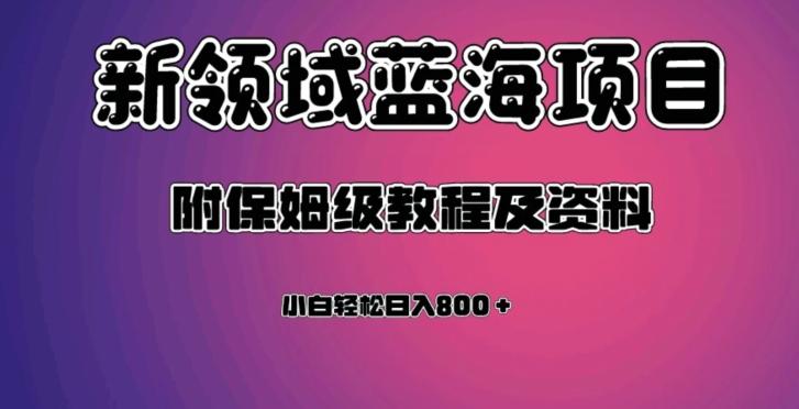 虚拟资源蓝海领域新项目，轻松日入800＋，附保姆级教程及资料-轻创网