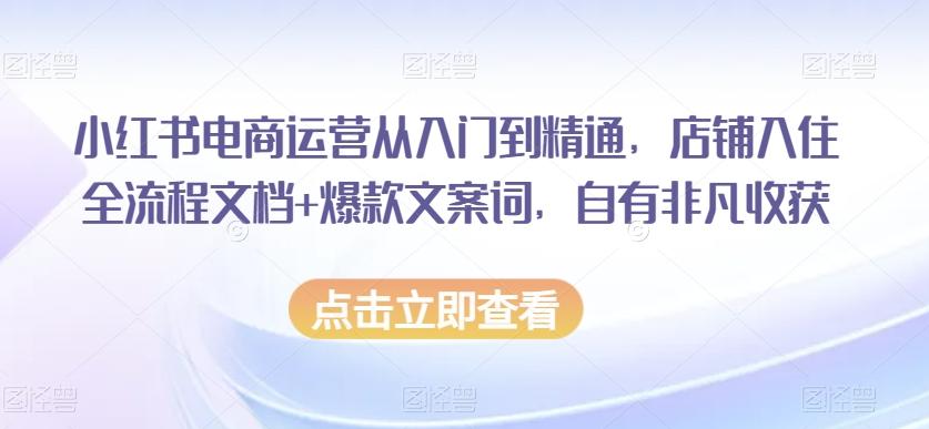 小红书电商运营从入门到精通，店铺入住全流程文档+爆款文案词，自有非凡收获-轻创网