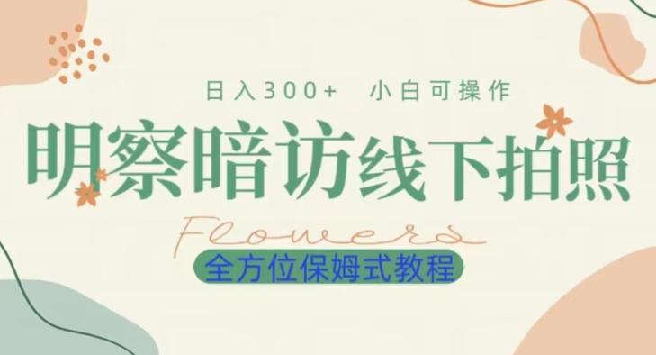 明拍暗拍项目0成本投入日入300+小白可操作保姆式全方位教程-轻创网