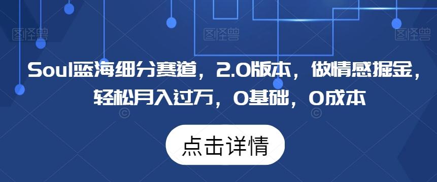 Soul蓝海细分赛道，2.0版本，做情感掘金，轻松月入过万，0基础，0成本-轻创网