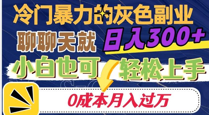 冷门暴利的副业项目，聊聊天就能日入300+，0成本月入过万【揭秘】-轻创网