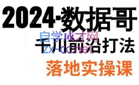 数据哥·2024年千川前沿打法落地实操课-轻创网