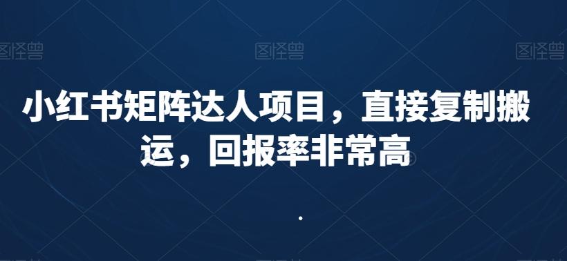 小红书矩阵达人项目，直接复制搬运，回报率非常高-轻创网