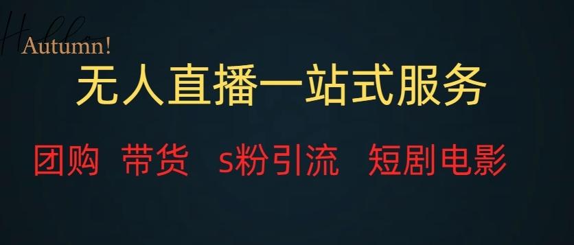 无人直播一站式服务（教程以及变现方式）-轻创网