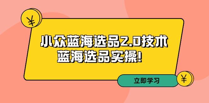 拼多多培训第33期：小众蓝海选品2.0技术-蓝海选品实操！-轻创网