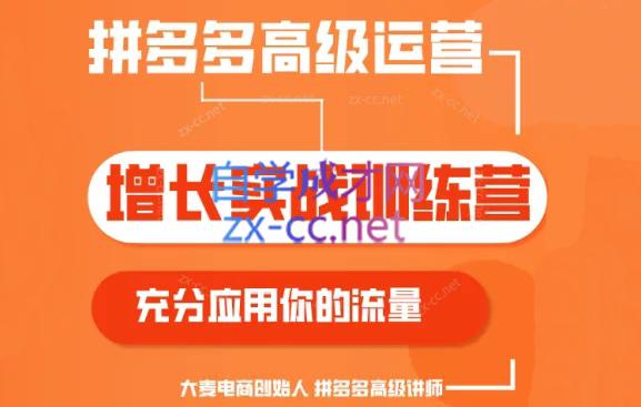 大麦老师·拼多多单品爆款打造课程(更新6月)-轻创网