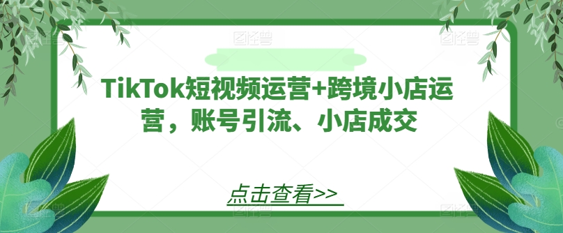 TikTok短视频运营+跨境小店运营，账号引流、小店成交-轻创网