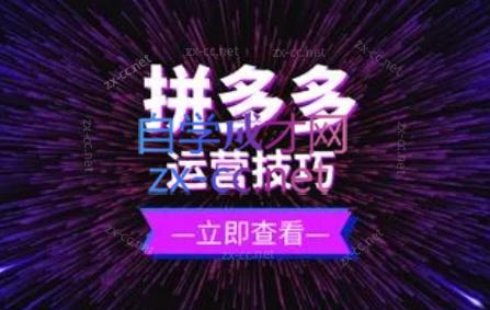 力辛电商·拼多多强付费店群玩法-轻创网