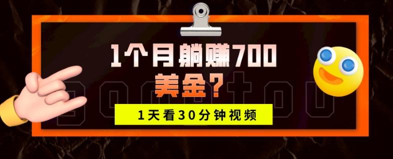 1天看30分钟视频，1个月躺赚700美金？-轻创网