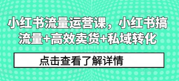 小红书流量运营课，小红书搞流量+高效卖货+私域转化-轻创网