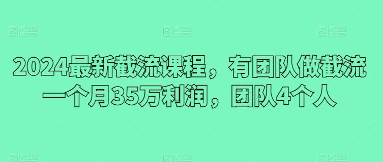 2024最新截流课程，有团队做截流一个月35万利润，团队4个人-轻创网