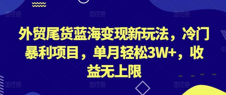 外贸尾货蓝海变现新玩法，冷门暴利项目，单月轻松3W+，收益无上限【揭秘】-轻创网