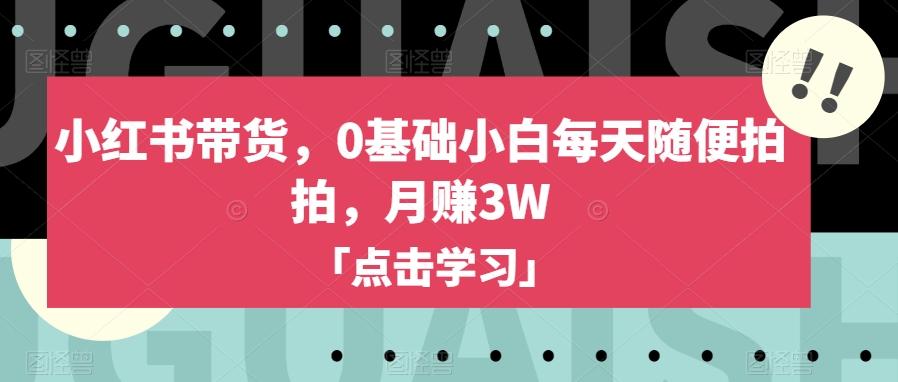 小红书带货，0基础小白每天随便拍拍，月赚3W【揭秘】-轻创网