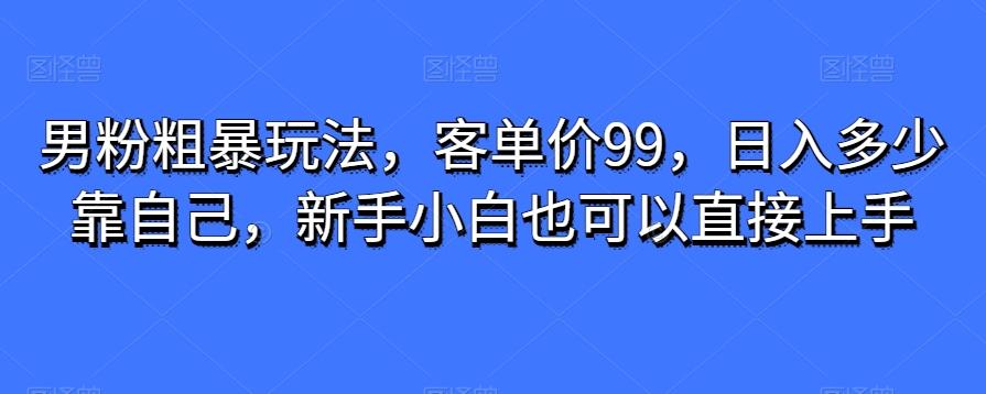 男粉粗暴玩法，客单价99，日入多少靠自己，新手小白也可以直接上手-轻创网