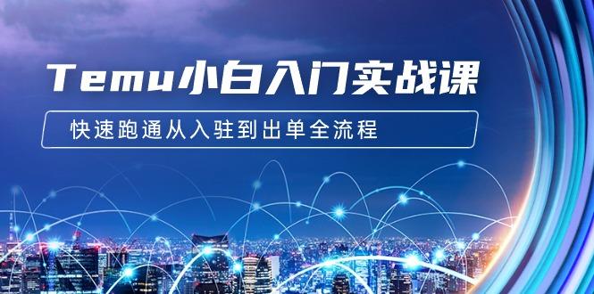 (9295期)Temu小白入门实战课：跨境拼多多电商培训 快速跑通从入驻到出单全流程-12节-轻创网
