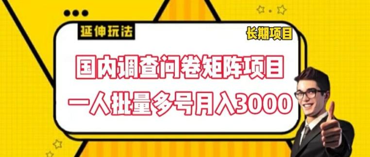 国内调查问卷矩阵项目，一人批量多号月入3000【揭秘】-轻创网