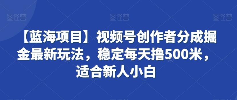 【蓝海项目】视频号创作者分成掘金最新玩法，稳定每天撸500米，适合新人小白【揭秘】-轻创网