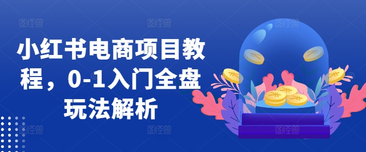 小红书电商项目教程，0-1入门全盘玩法解析-轻创网