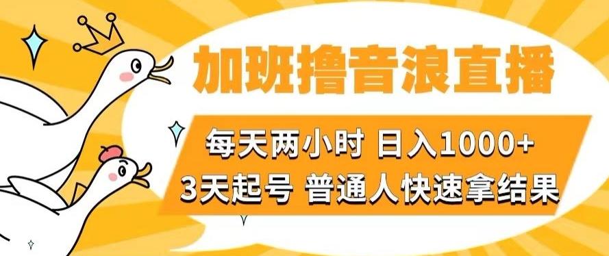 加班撸音浪直播，每天两小时，日入1000+，直播话术才3句，3天起号，普通人快速拿结果【揭秘】-轻创网