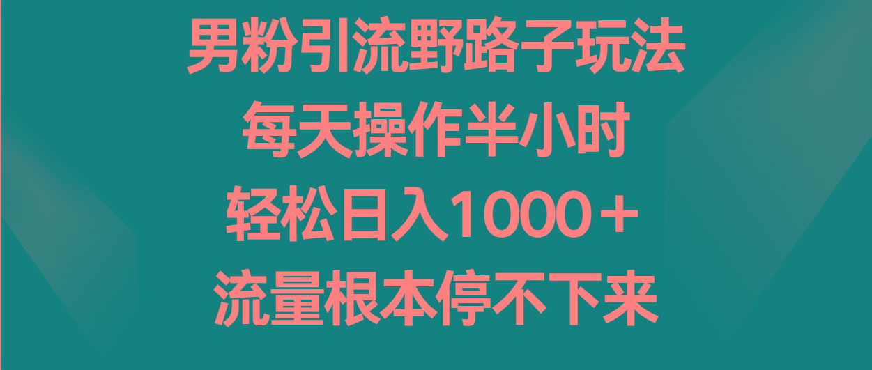 男粉引流野路子玩法，每天操作半小时轻松日入1000＋，流量根本停不下来-轻创网