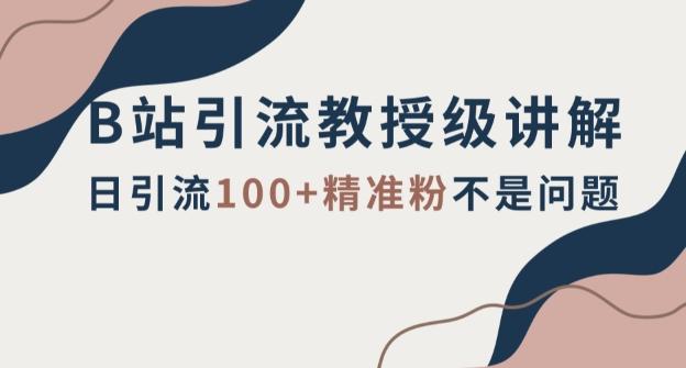 B站引流教授级讲解，细节满满，日引流100+精准粉不是问题【揭秘】-轻创网