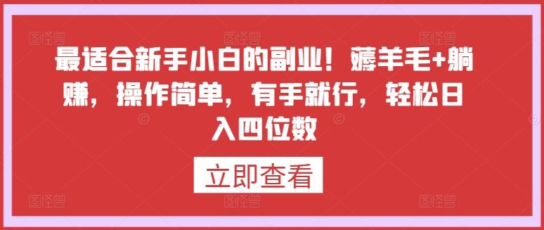 最适合新手小白的副业！薅羊毛+躺赚，操作简单，有手就行，轻松日入四位数【揭秘】-轻创网