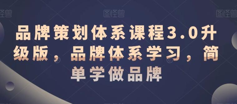 品牌策划体系课程3.0升级版，品牌体系学习，简单学做品牌-轻创网