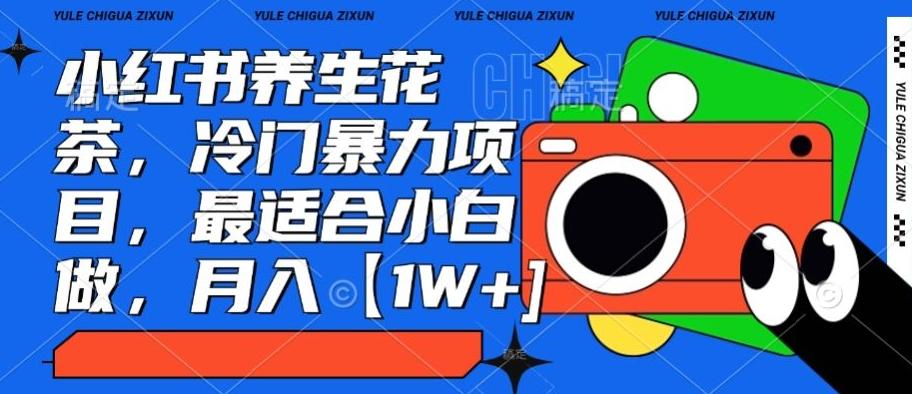小红书养生花茶，冷门暴力项目，最适合小白做，月入【1W+】-轻创网