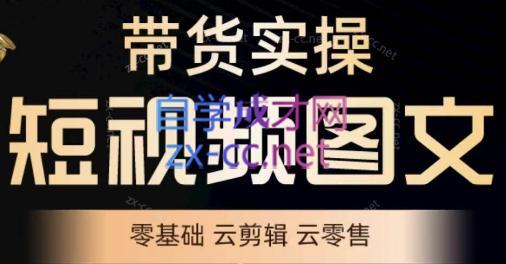 鑫哥·2024零基础短视频带货实操营-轻创网