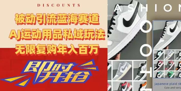被动引流蓝海赛道，AJ运动用品私域玩法，无限复购年入百万【揭秘】-轻创网
