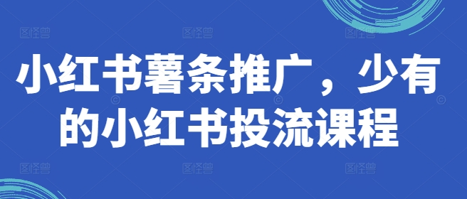 小红书薯条推广，少有的小红书投流课程-轻创网